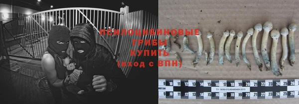 амф Осташков