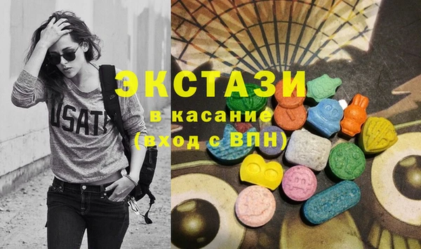 индика Осинники