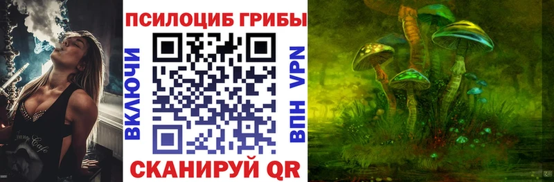 omg маркетплейс  Микунь  Псилоцибиновые грибы Cubensis  что такое  